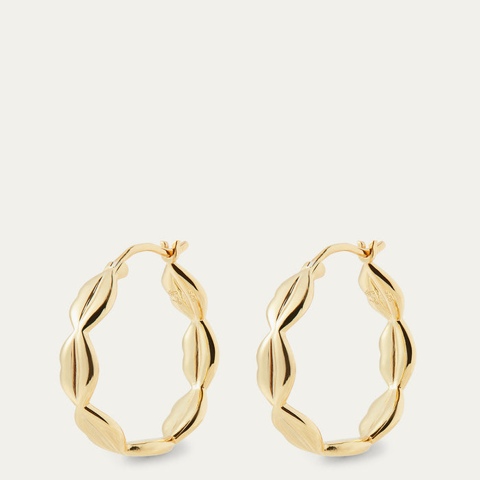 Gold hoop earrings on a light beige background