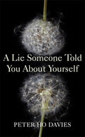 A Lie Someone Told You About Yourself by Peter Ho Davies