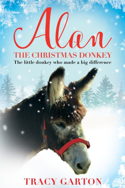 ALAN THE CHRISTMAS DONKEY
