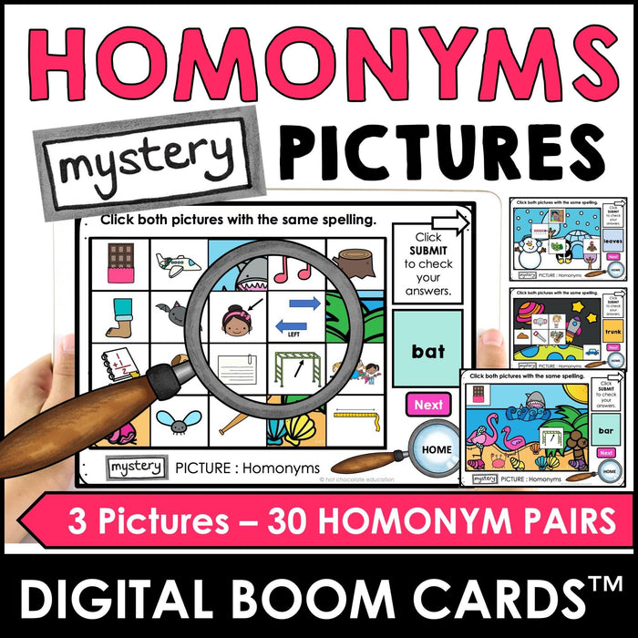 Antonym, Synonym, Homophone, Homonym Mystery Picture Boom Cards™ BUNDLE - Hot Chocolate Teachables