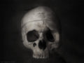 Flesh and Bone by Nathan Kranzo