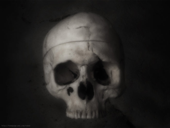 Flesh and Bone by Nathan Kranzo