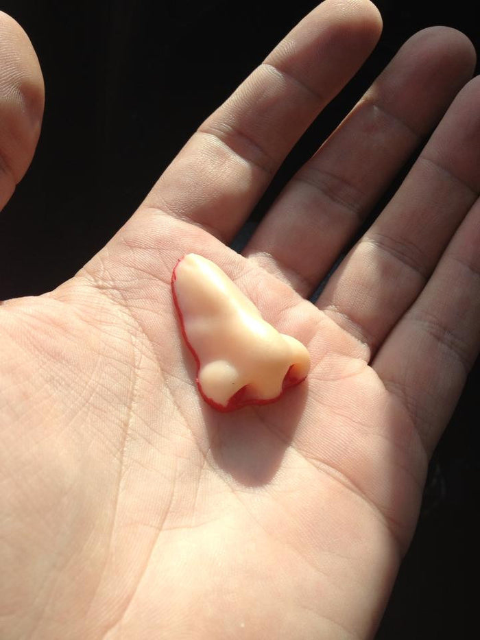 I've Got Your Nose!!!