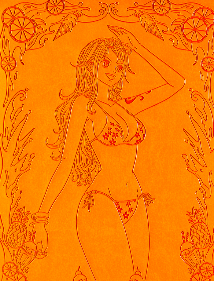 Nami Summer Trading Card Binder - sleevechief