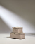 a pair of luggage bags