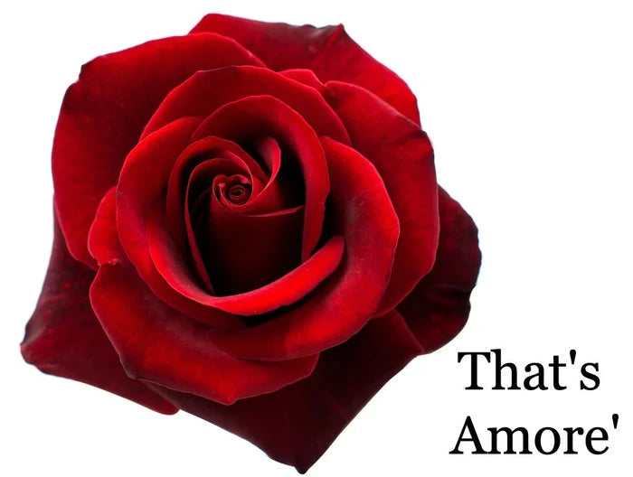 That's Amore'